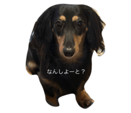 726611017