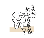 726636812