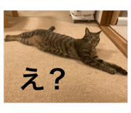 726667534