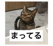 726667535