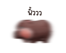 726668714