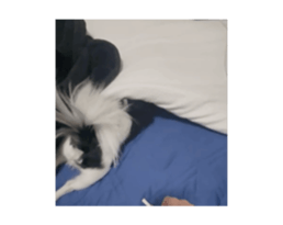 726675884
