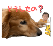 726679638