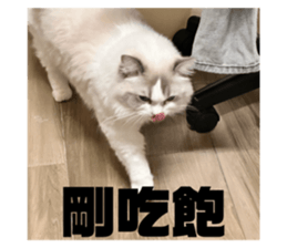 726690829