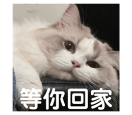 726690835