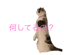 726697485