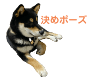 726714618
