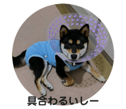 726714623