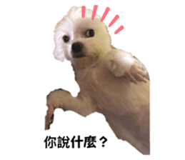 726715389