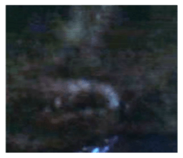 726740946