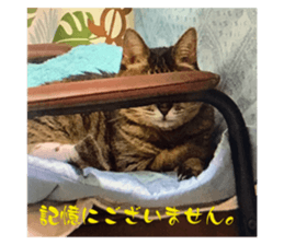 726741036