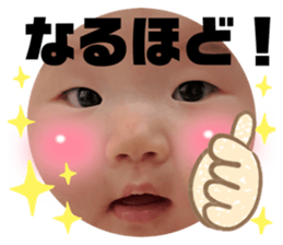726747441