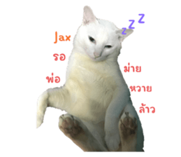 726788066