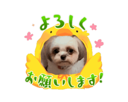 726842400