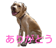 726850900