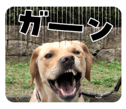 726850904