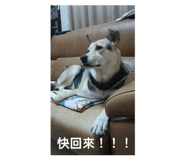 726857443