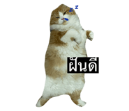 726864820
