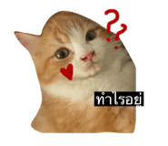 726864822