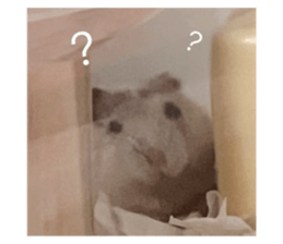 726883680
