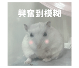 726883683
