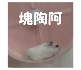 726883689