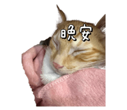 726883930