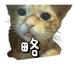 726883948