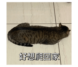 727012100