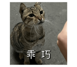 727012105