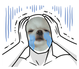 727012351