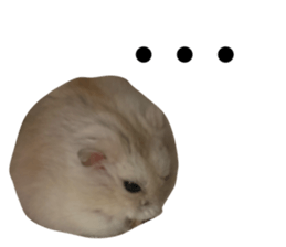 727012410