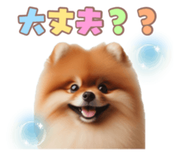 727027625