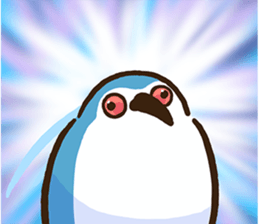727032852