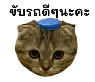727042758