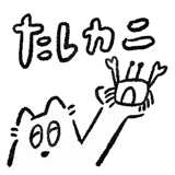727048904