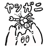 727048905
