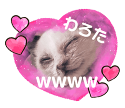 727054242