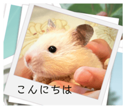 727055166