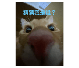 727055285