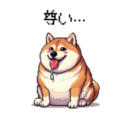727062937