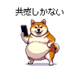 727062967