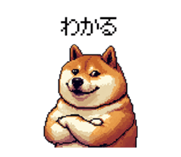 727062969