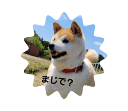 727070383