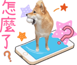 727076673