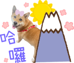 727076679