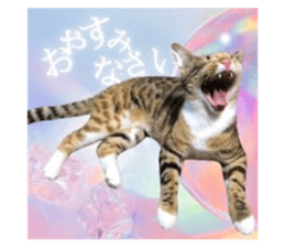 727098245
