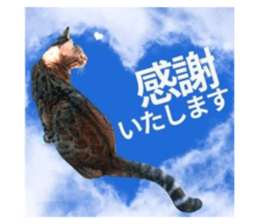 727098250