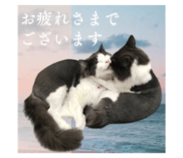 727098256