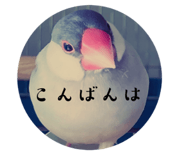 727098947